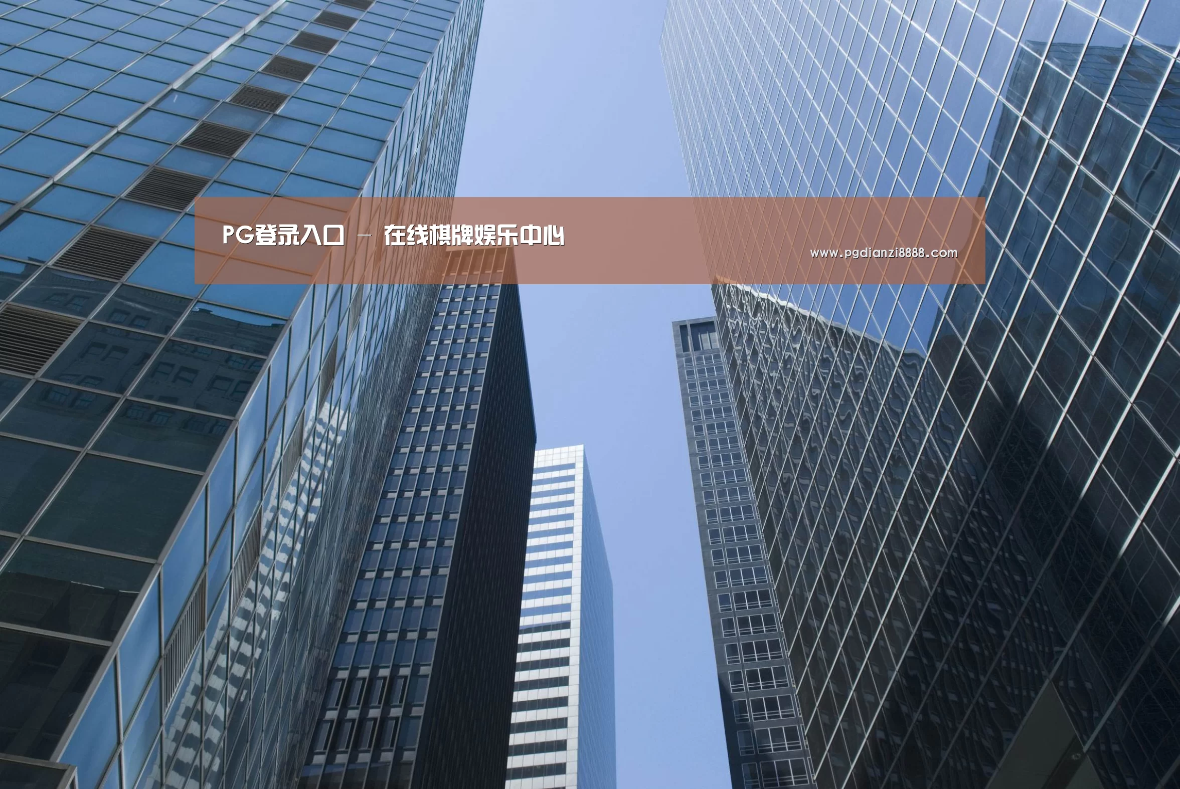 PG登录入口公司简介 
