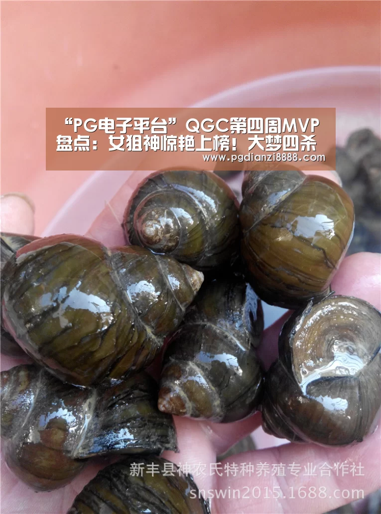 “PG电子平台”QGC第四周MVP盘点:女狙神惊艳上榜!大梦四杀荣膺本周最佳(图3) PG游戏平台